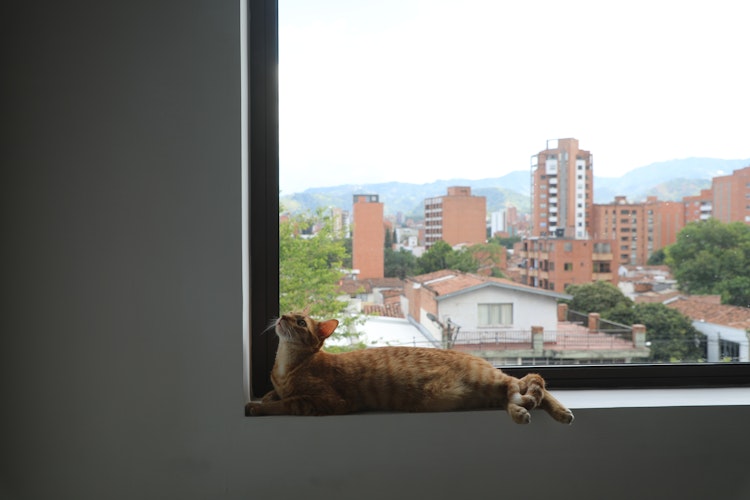 Picture of VICO Girasol, an apartment and co-living space in Medellín