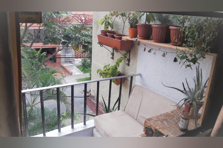 Picture of VICO Pura Vida, an apartment and co-living space in San Joaquín