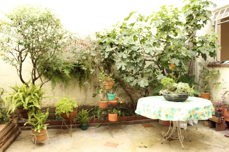 Picture of VicoIn, an apartment and co-living space in Palermo